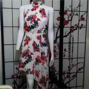Express XS Flower Floral High Neck Dress size XS